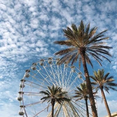 Instagram Image