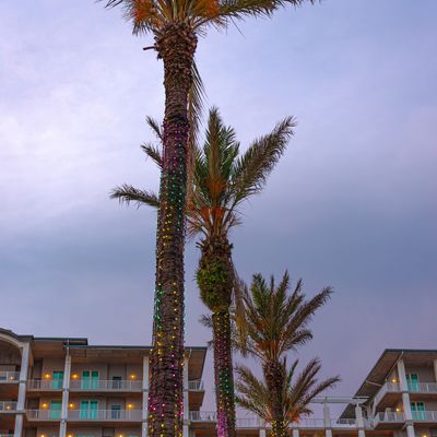 Instagram Image