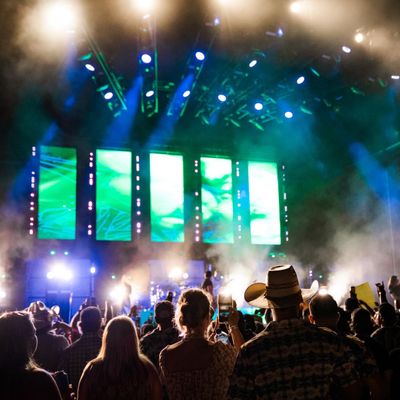Instagram Image