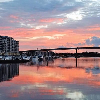 Instagram Image
