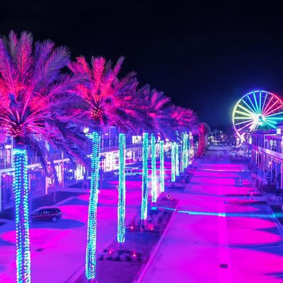 Instagram Image