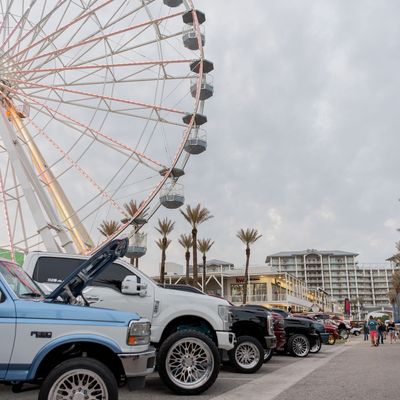 Instagram Image