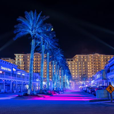 Instagram Image