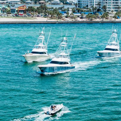 Instagram Image
