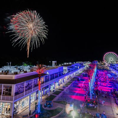 Instagram Image