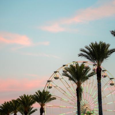 Instagram Image