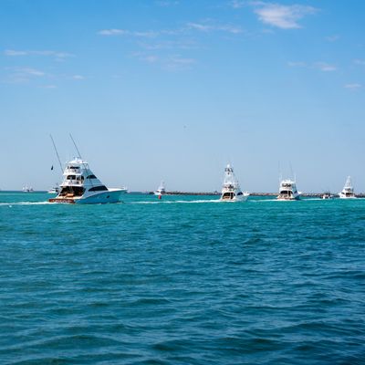 Instagram Image
