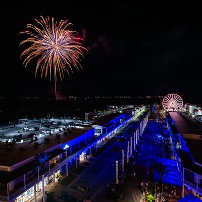Instagram Image