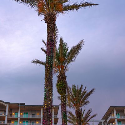 Instagram Image
