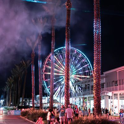 Instagram Image