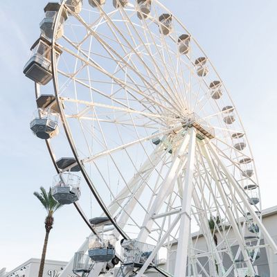 Instagram Image