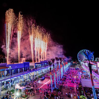 Instagram Image