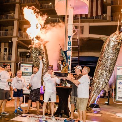 Instagram Image