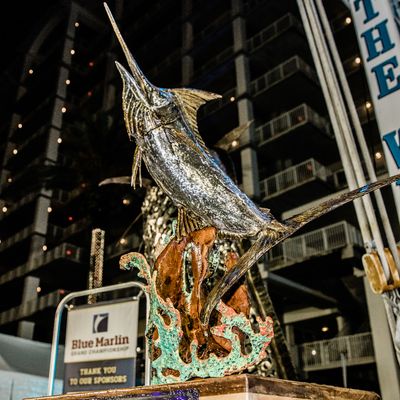 Instagram Image