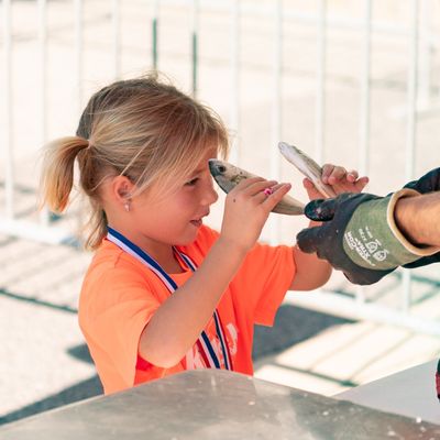 Instagram Image