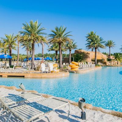 Instagram Image