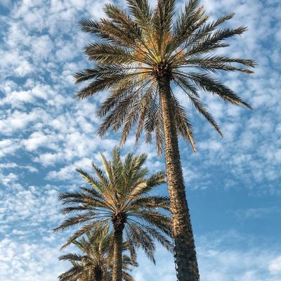 Instagram Image