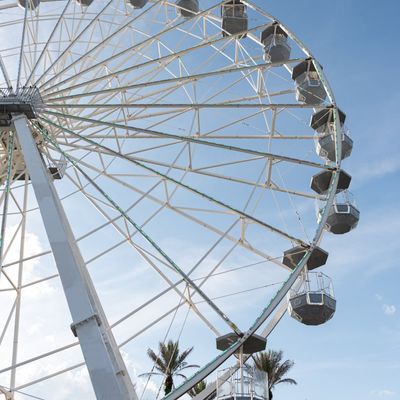 Instagram Image