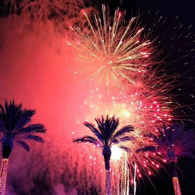 Instagram Image