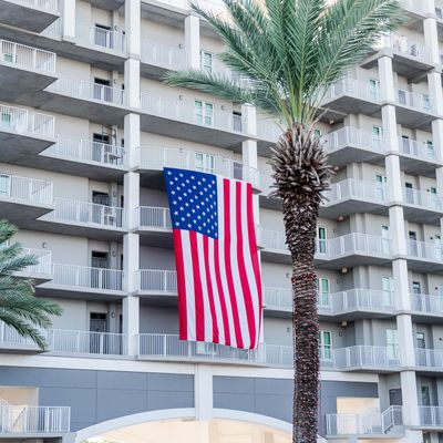 Instagram Image