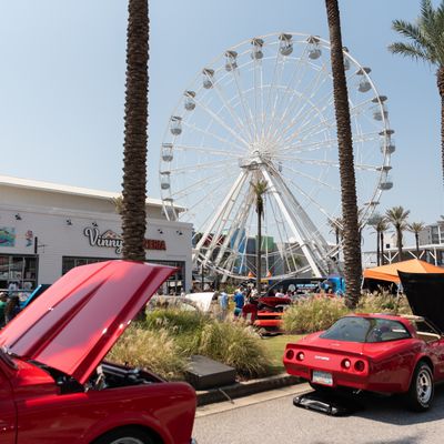 Instagram Image