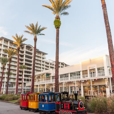 Instagram Image