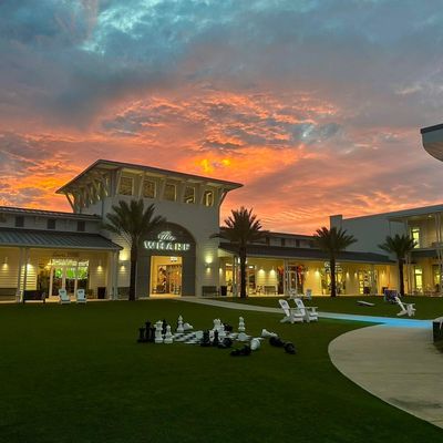 Instagram Image