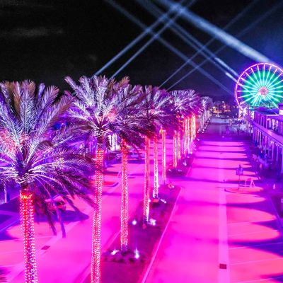 Instagram Image