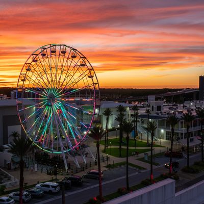 Instagram Image