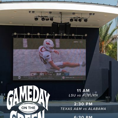 Instagram Image