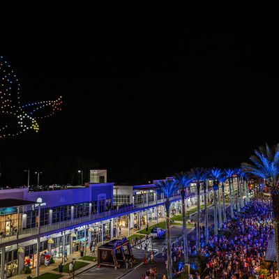 Instagram Image