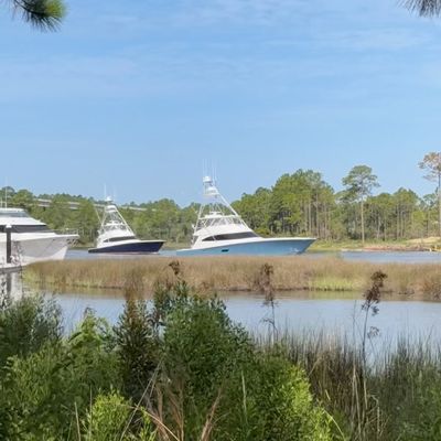 Instagram Image