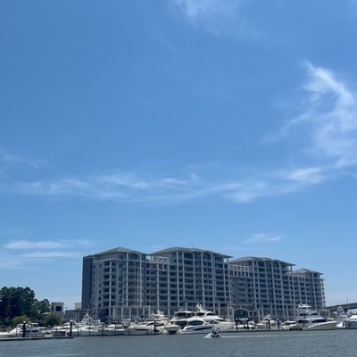 Instagram Image
